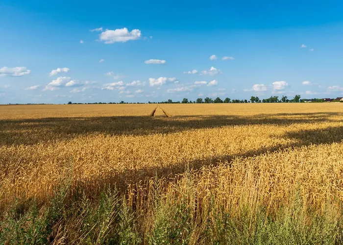 Work & Travel _ Ecostay _ Sroda Wielkopolska