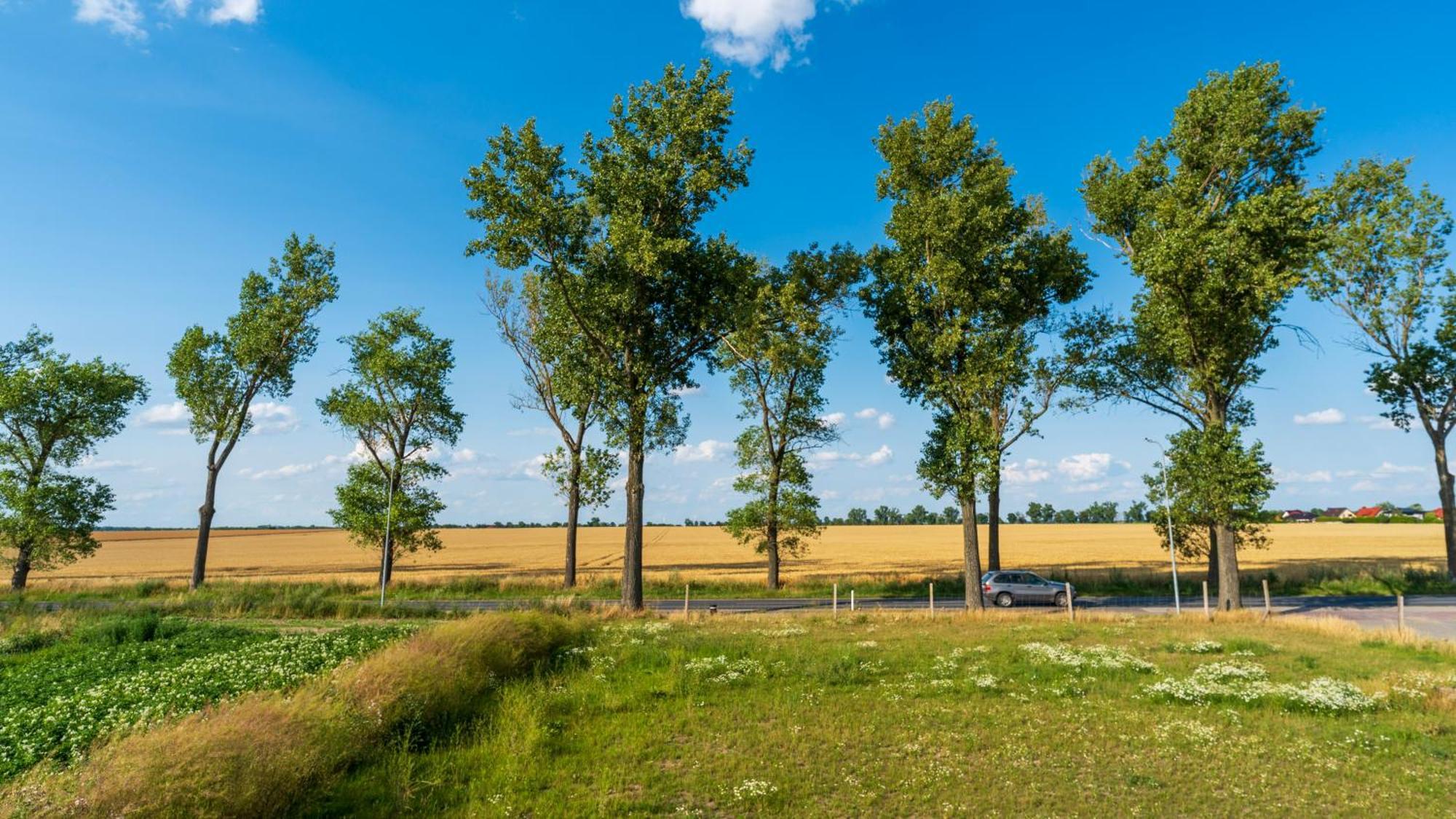 Apartment Work & Travel _ Ecostay _ Sroda Wielkopolska